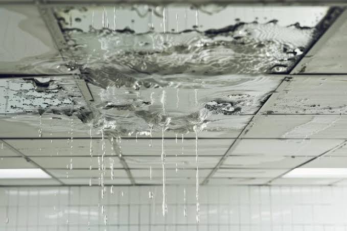 Water Leaking From Ceiling: Causes, Solutions, and How to Prevent Future Damage