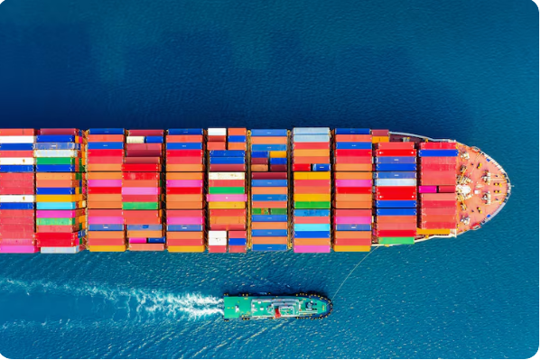 Ricklefs: The Professional Journey of Michael Ricklefs in the Freight and Logistics Industry